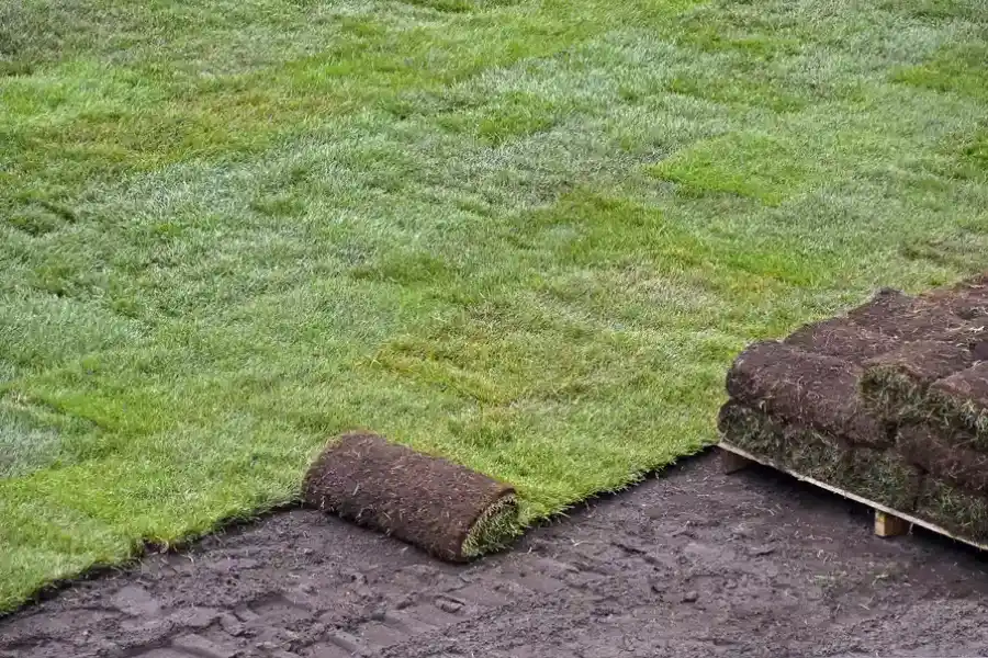 Affordable Sod Installation Murrieta, CA Affordable Sod Installation Murrieta, CA