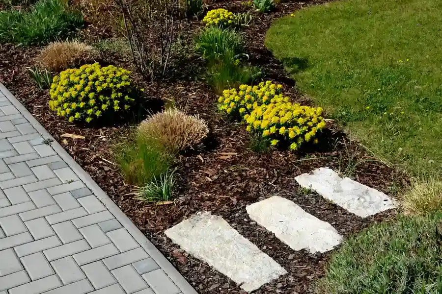 Common Mulching Mistakes And How To Avoid Them Murrieta, CA Common Mulching Mistakes And How To Avoid Them Murrieta, CA