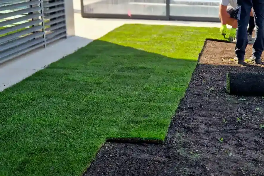 Excellent Artificial Turf Installation Murrieta, CA Excellent Artificial Turf Installation Murrieta, CA