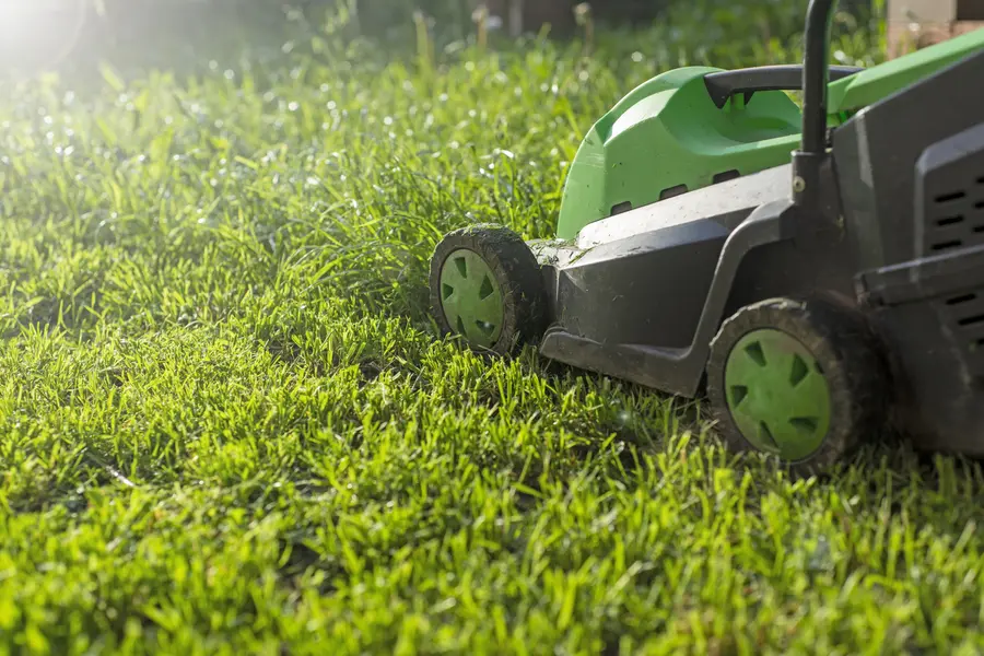 Experienced Lawn Mowing Murrieta, CA Experienced Lawn Mowing Murrieta, CA