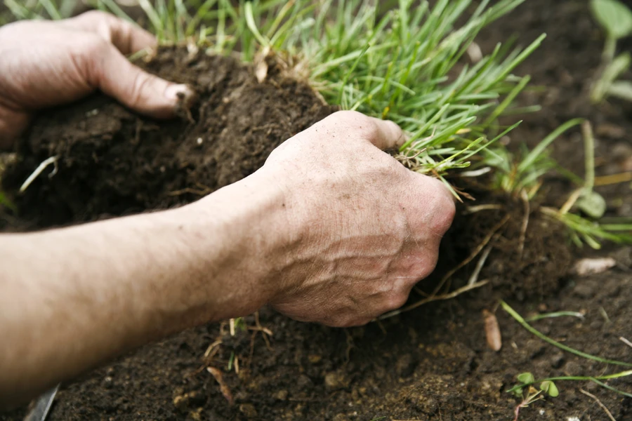 Expert Sod Installation Murrieta, CA Expert Sod Installation Murrieta, CA
