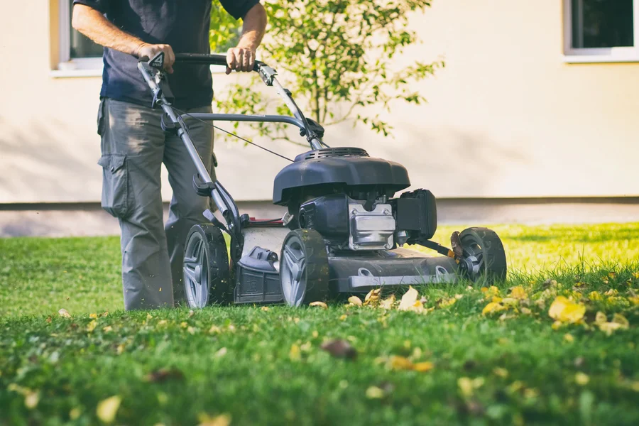 How Proper Lawn Mowing Prevents Weed Growth Murrieta, CA How Proper Lawn Mowing Prevents Weed Growth Murrieta, CA