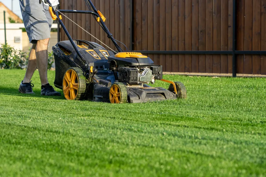 How Proper Lawn Mowing Prevents Weed Growth in Murrieta, CA How Proper Lawn Mowing Prevents Weed Growth in Murrieta, CA