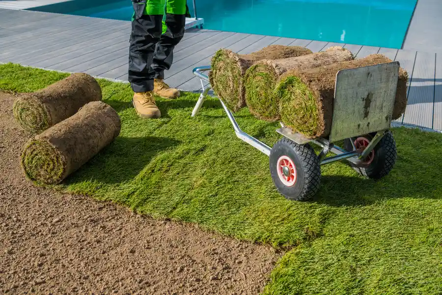 Layered Soil Benefits For Sod Root Health Murrieta, CA Layered Soil Benefits For Sod Root Health Murrieta, CA