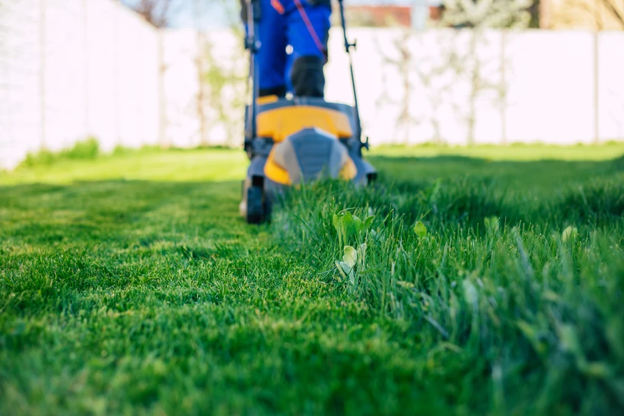 Premium Lawn Mowing Murrieta, CA Premium Lawn Mowing Murrieta, CA