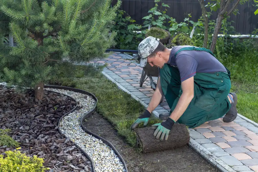 Professional Sod Installation Murrieta, CA Professional Sod Installation Murrieta, CA