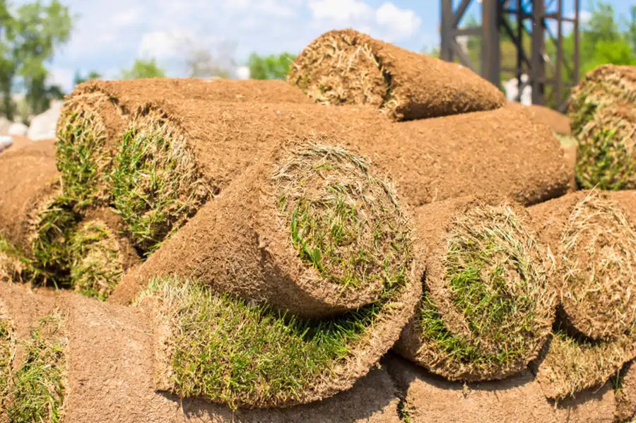 Sod On Slopes And Erosion Control Murrieta, CA Sod On Slopes And Erosion Control Murrieta, CA