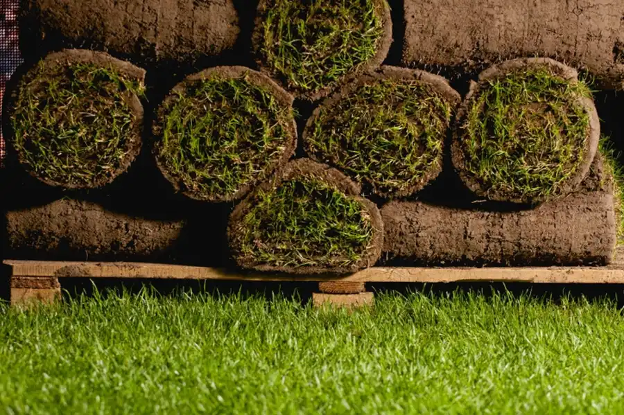 Sod On Slopes And Erosion Control in Murrieta, CA Sod On Slopes And Erosion Control in Murrieta, CA