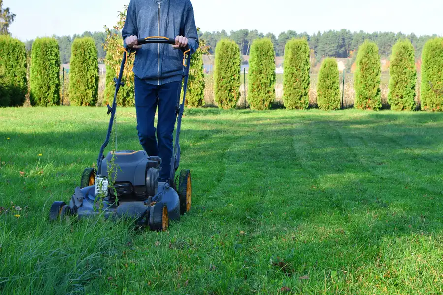 Superior Lawn Mowing Murrieta, CA Superior Lawn Mowing Murrieta, CA