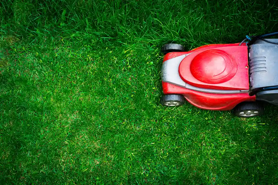 Understanding The Ideal Frequency For Lawn Mowing Murrieta, CA Understanding The Ideal Frequency For Lawn Mowing Murrieta, CA