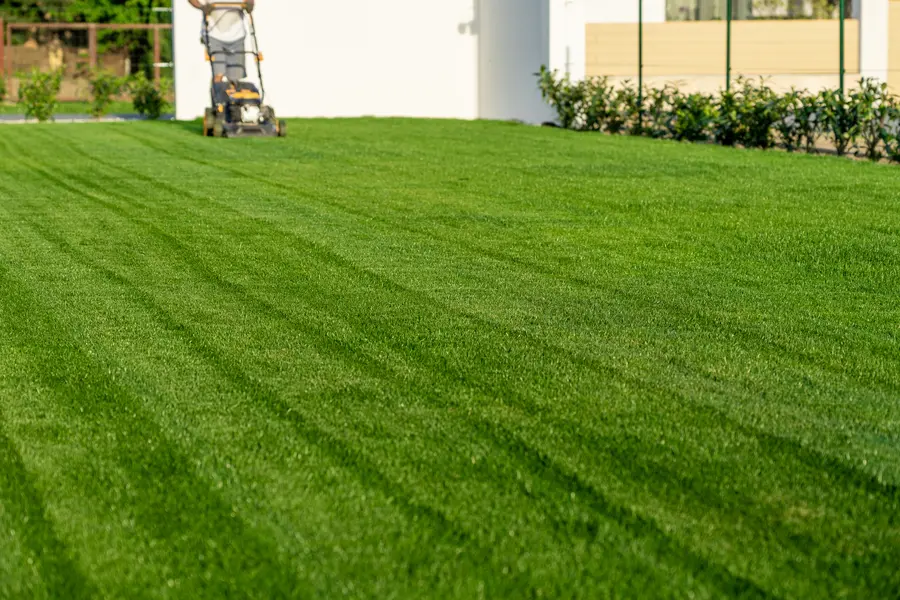 Understanding The Ideal Frequency For Lawn Mowing in Murrieta, CA Understanding The Ideal Frequency For Lawn Mowing in Murrieta, CA